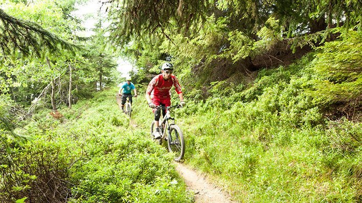 guided mountain bike tours