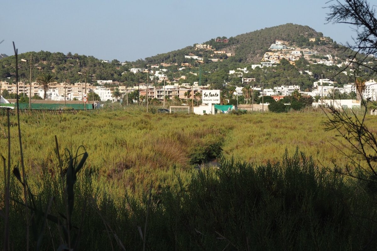 An area of nature park near to ibiza town