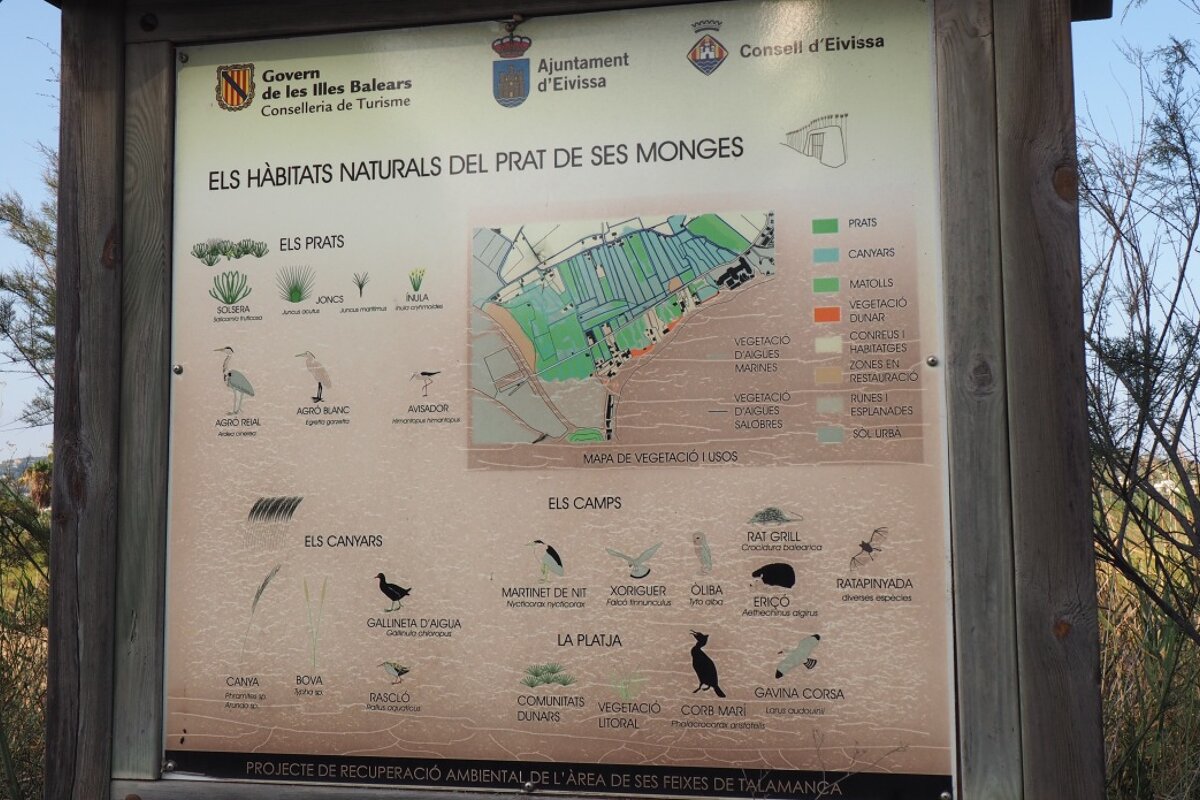 information board naming wildlife bird in the ses feixes area near ibiza town