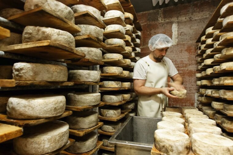 Savoyard cheesemaking