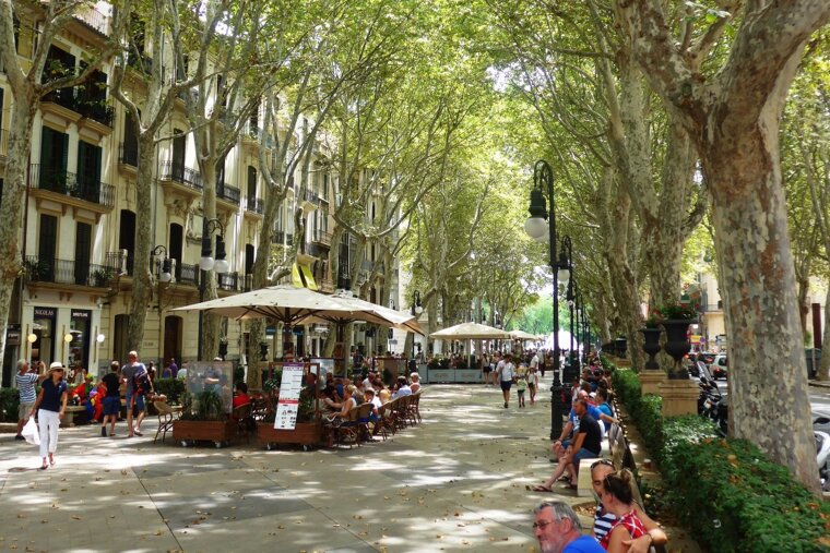 Passeig del Born - one of the most attractive avenues in Palma