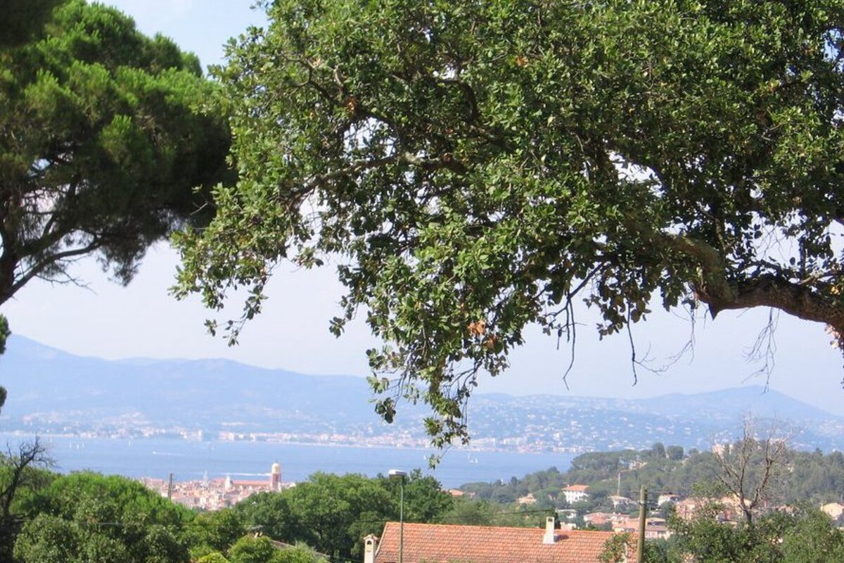 Views from Chapelle Sainte Anne in St Tropez