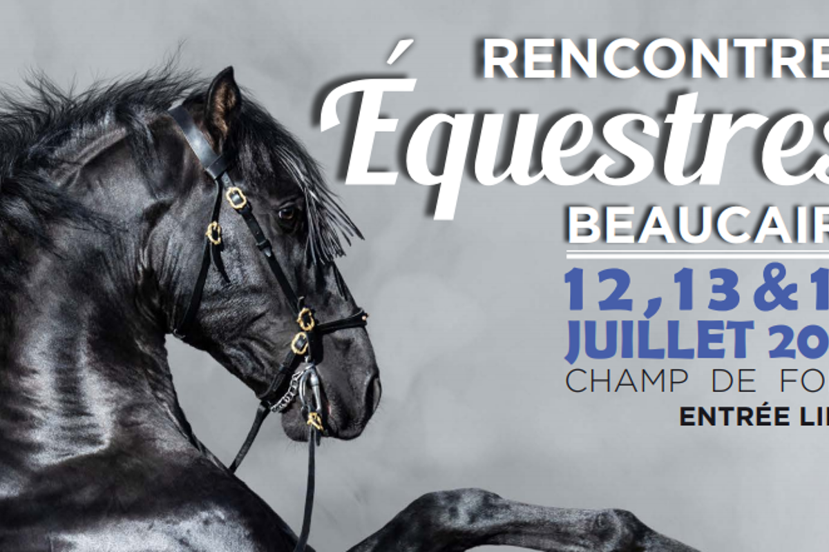 lusitano site de rencontre