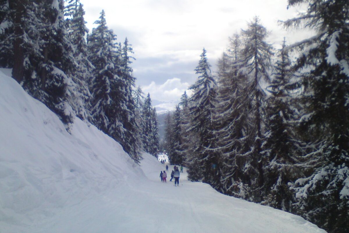a tree lined piste in les arcs