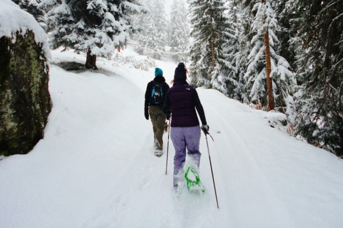 two people walking on snowshoes in the trees