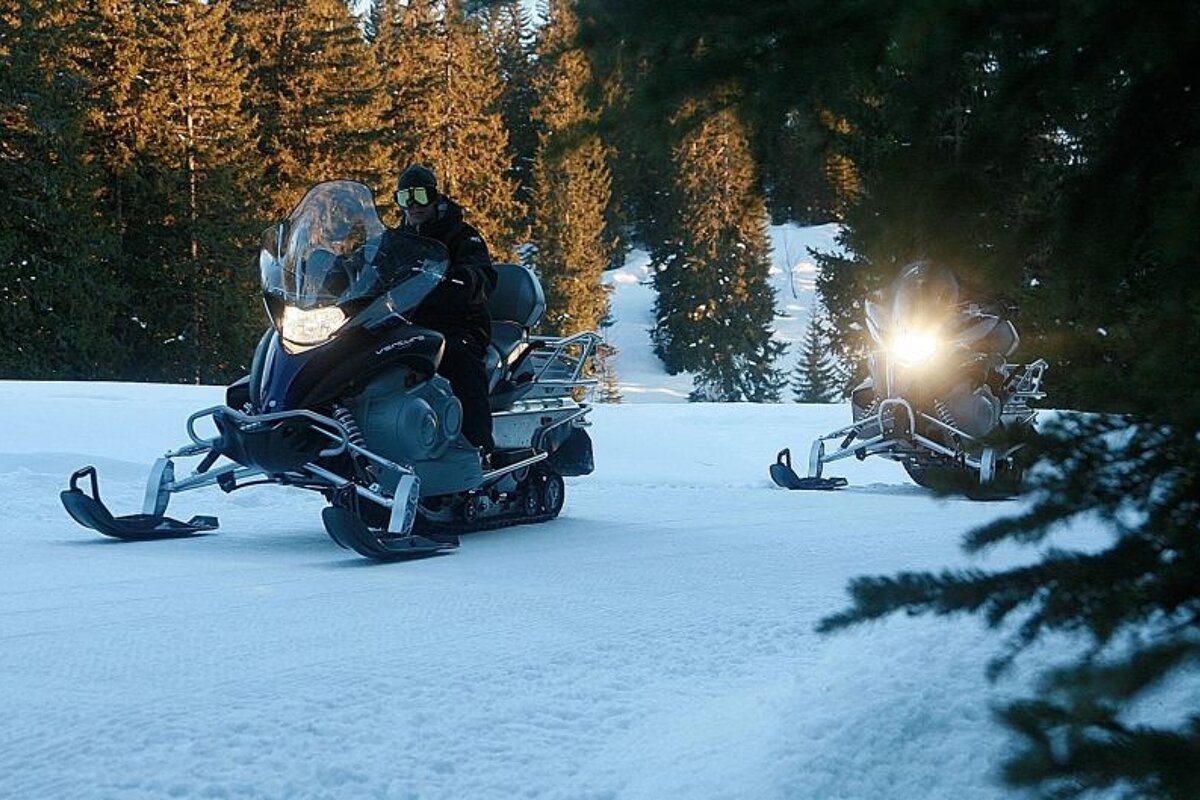 Snowmobile in the trees
