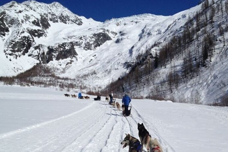 Husky Sledging
