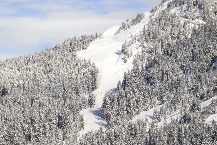 The blue run "Pic" takes you to Meribel through the trees